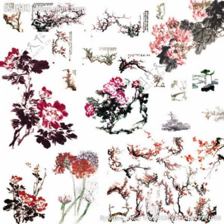 中国风水墨花朵图片