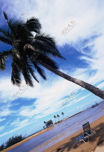 加勒比海沙滩风景图图片