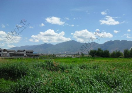 云南古镇野外风景图片