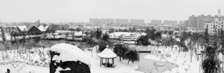 黑白雪景之俯看公园图片