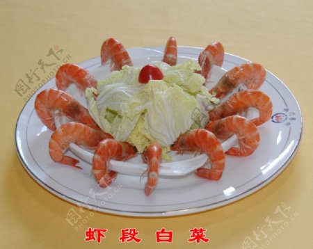 虾段白菜图片