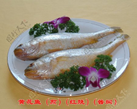 黄花鱼煎红烧酱焖图片