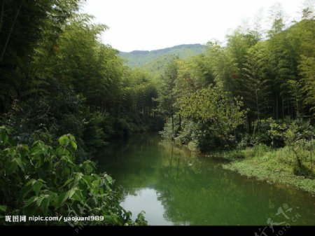 竹林河流图片