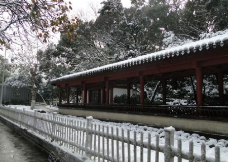 雪景图片