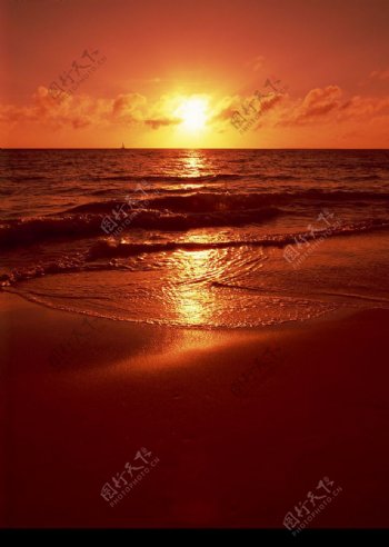 日落的海邊图片