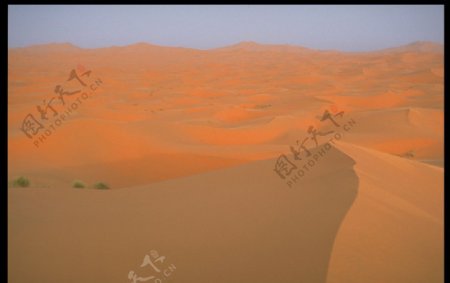黄昏的沙漠图片