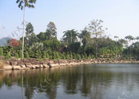 泰国园林图片