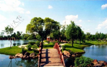 绿树桥水图片