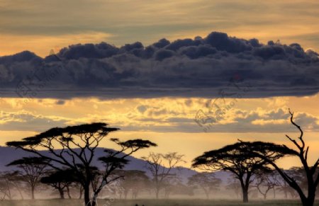 国家地理之坦桑尼亚图片
