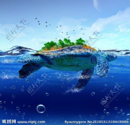 海洋中的龟岛图片