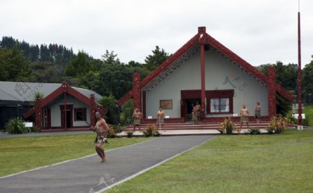 毛利人图片