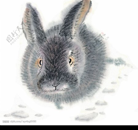 水墨风格的兔子图片