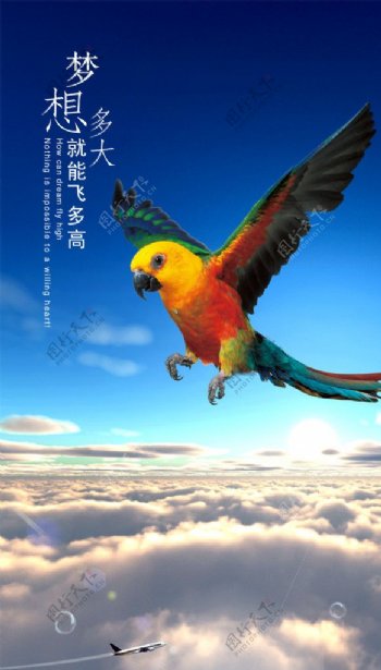 鹦鹉飞翔蓝天图片