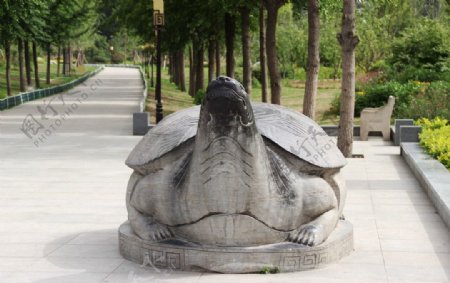龟雕图片