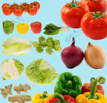 蔬菜分层素材图片