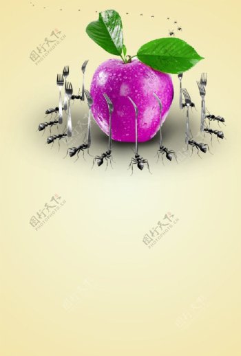 蚂蚁食苹果图片