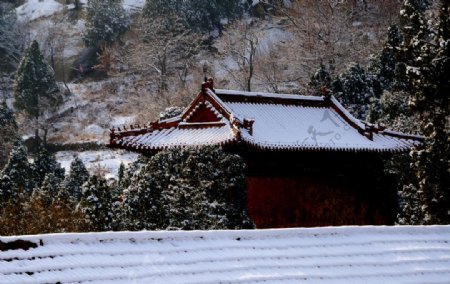 山中寺庙图片