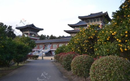 韩国药泉寺图片