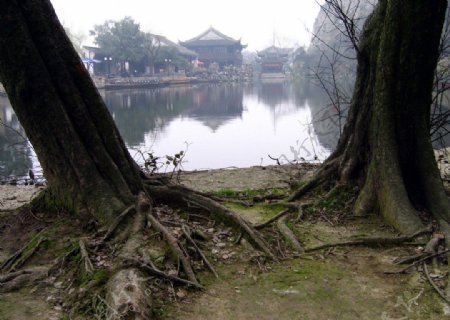 绍兴东湖图片