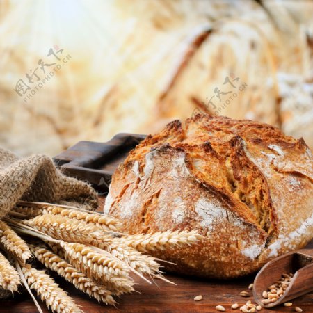 小麦烤面包干粮图片