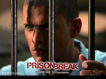 PrisonBreak越狱壁纸图片