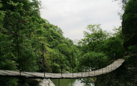 大别山河谷吊桥图片