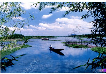 下渚湖盛夏图片