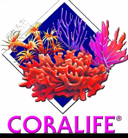 珊瑚皇标志图片