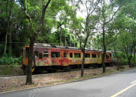 綠樹小火車集集图片