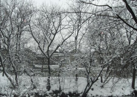 古鎮雪景图片