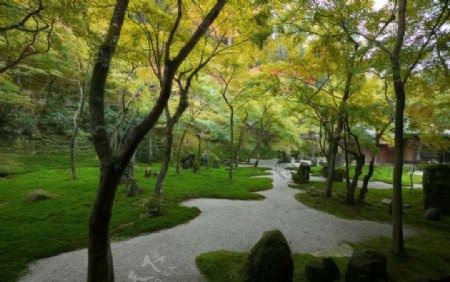 禪寺庭園图片