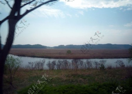 湿地之美图片