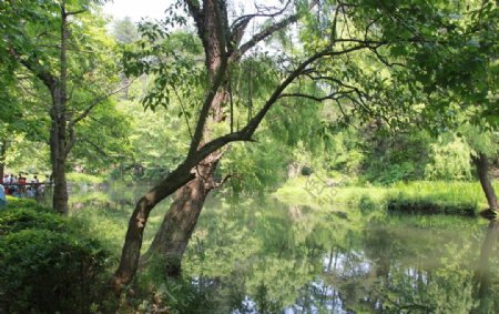 贵阳市小车河国家级湿地公园图片