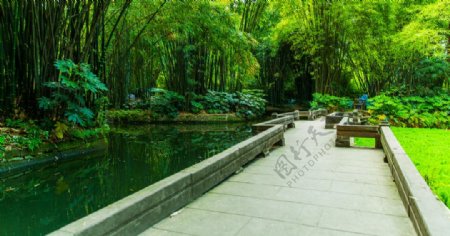 望江公园图片