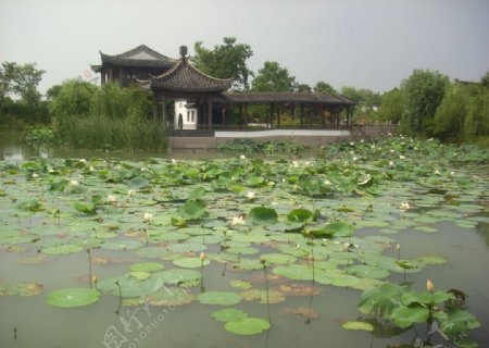 秋水阁图片