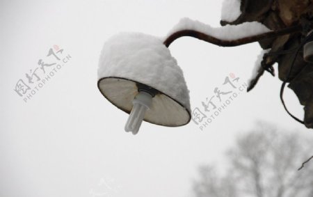 雪灯图片