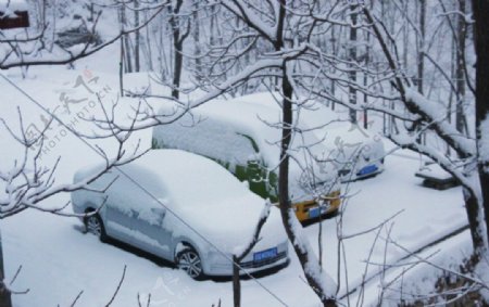 雪后停车场图片