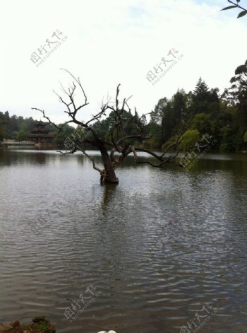 山水风景图片