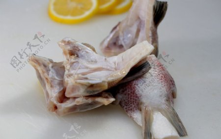 鱼肚水产品图片