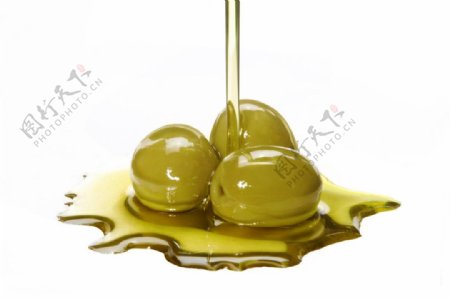 橄榄油橄榄图片