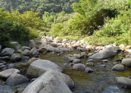 山涧溪流美景图片