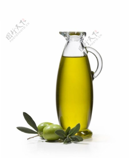 橄榄油橄榄图片