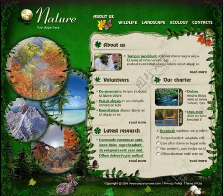 自然保护区网页模板图片