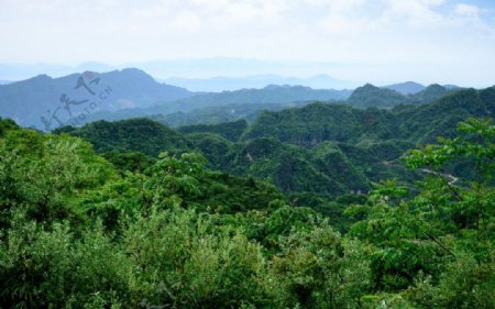 陕西黎坪森林公园图片