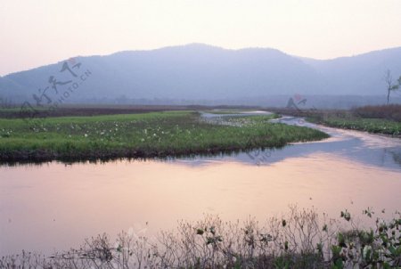 河边草地图片