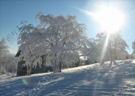 阳光白雪图片
