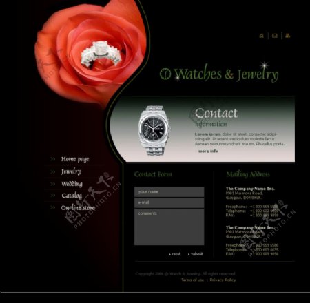 精美的欧美珠宝网页设计模板五图片
