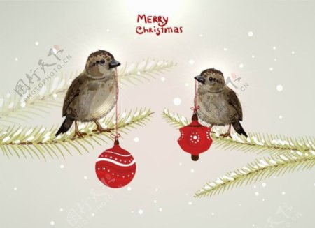 浪漫枝头小鸟圣诞背景图片