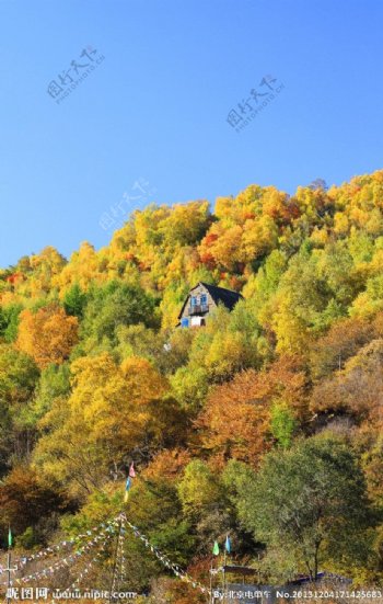 秋之色彩图片