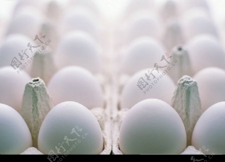 鸡蛋图图片